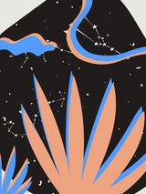Plant and Astrology Poster och Canvastavla