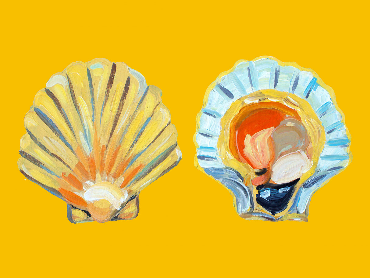 Scallops On Yellow Poster och Canvastavla