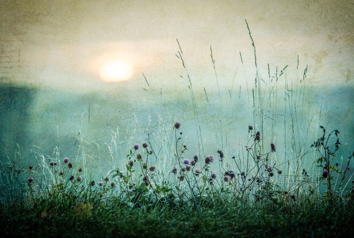Autumn sunrise Poster och Canvastavla