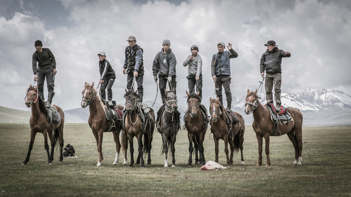 Horse game 1 Poster och Canvastavla