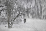 the winter Poster och Canvastavla