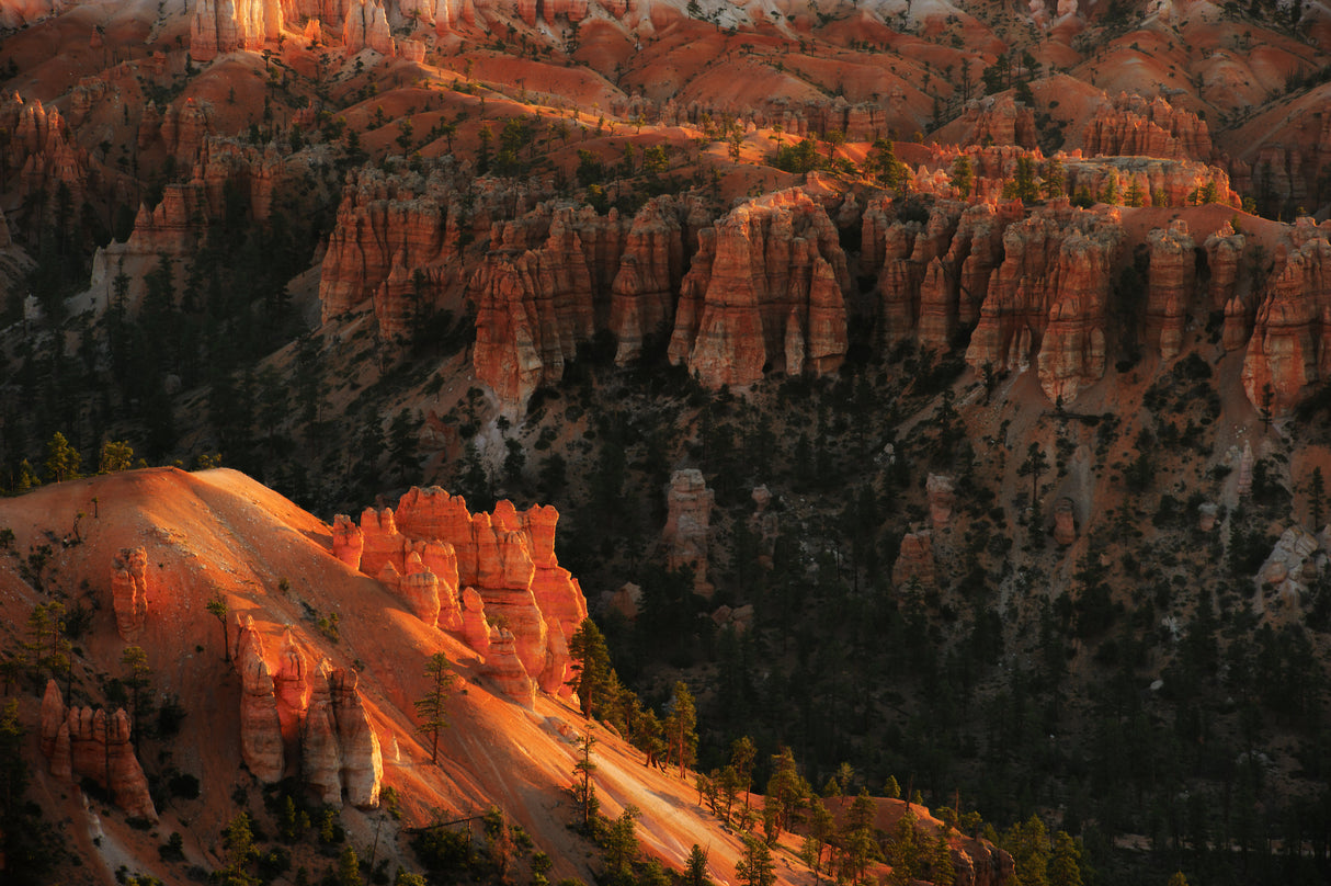 Sunrise at Bryce Canyon Poster och Canvastavla