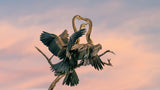 Oriental Darter feeding Juveniles Poster och Canvastavla