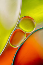 Oil Poster och Canvastavla