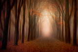 to the light .......... Poster och Canvastavla