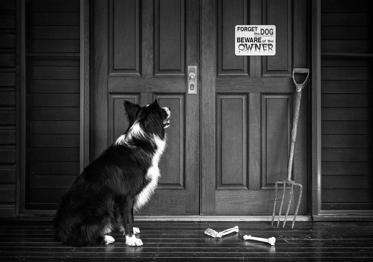 Beware of the Owner Poster och Canvastavla
