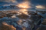 The Path of the Sun Poster och Canvastavla