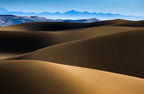 Gloomy desert Poster och Canvastavla
