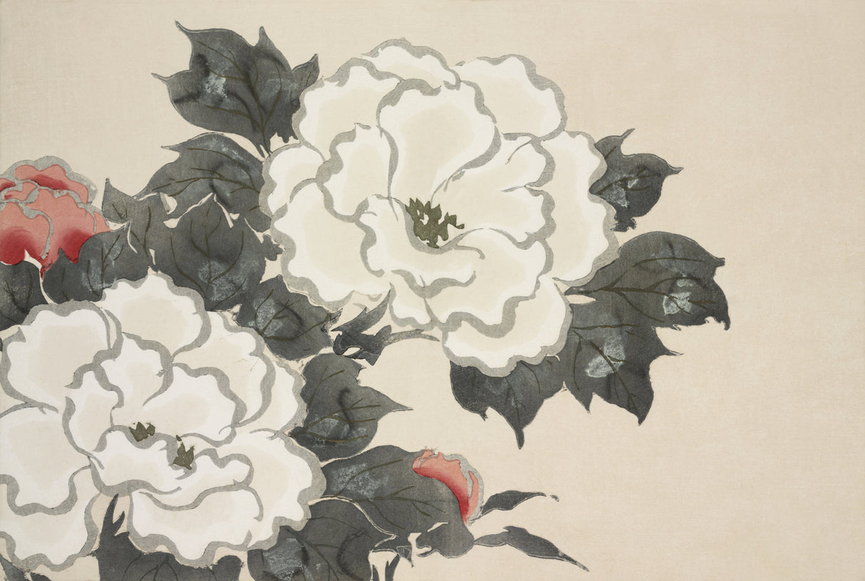 Flowers From Momoyogusa Poster och Canvastavla