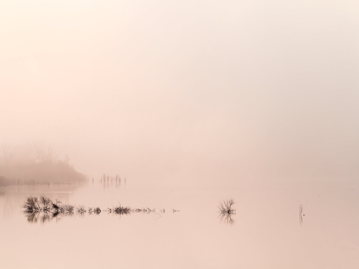 lake Poster och Canvastavla