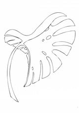 Monstera Bent White Poster och Canvastavla