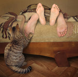 Get up! It's time for breakfast... Poster och Canvastavla