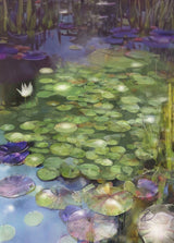 Lily Pad Pond Poster och Canvastavla