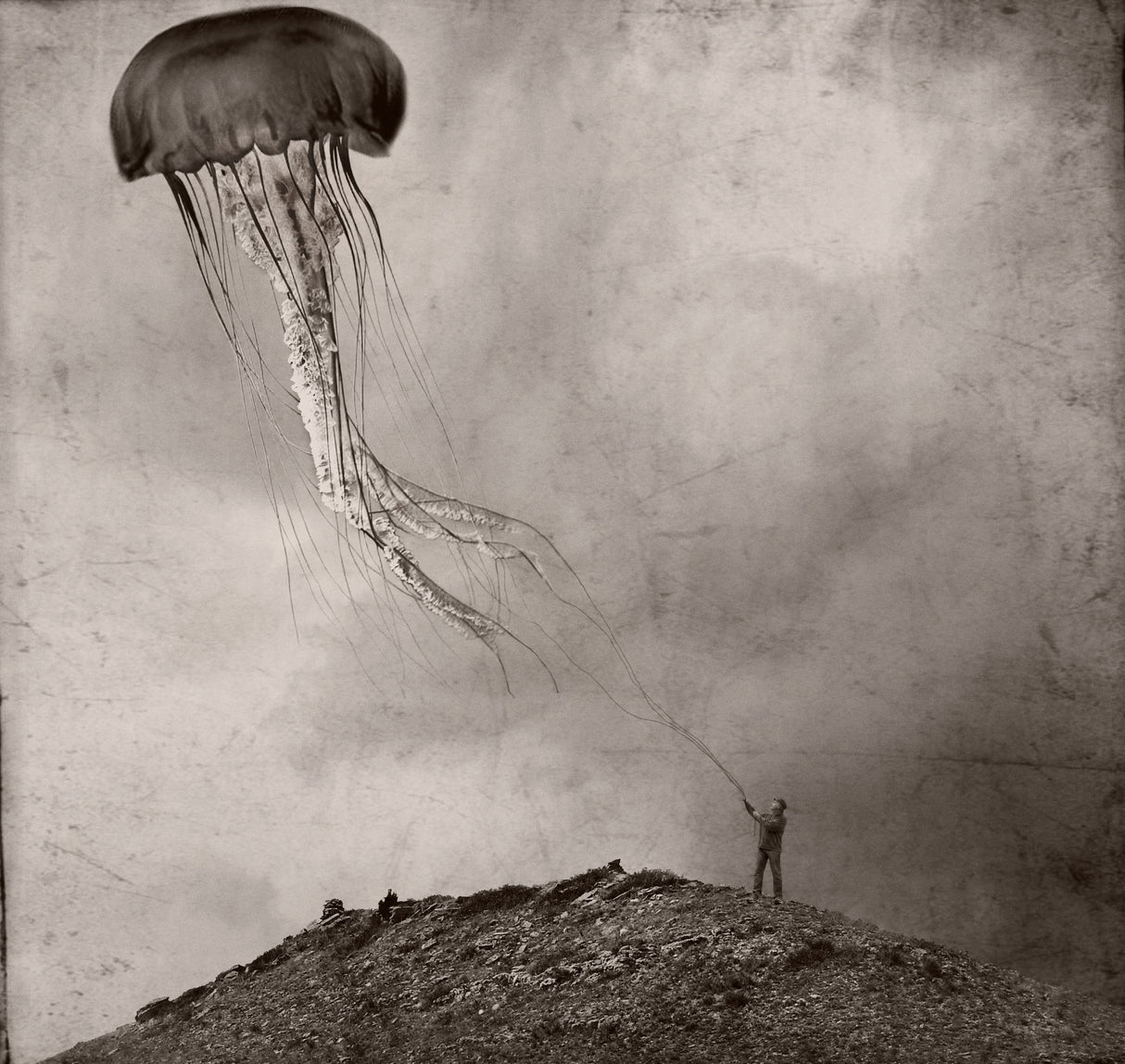 tethered Poster och Canvastavla