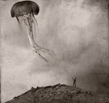 tethered Poster och Canvastavla