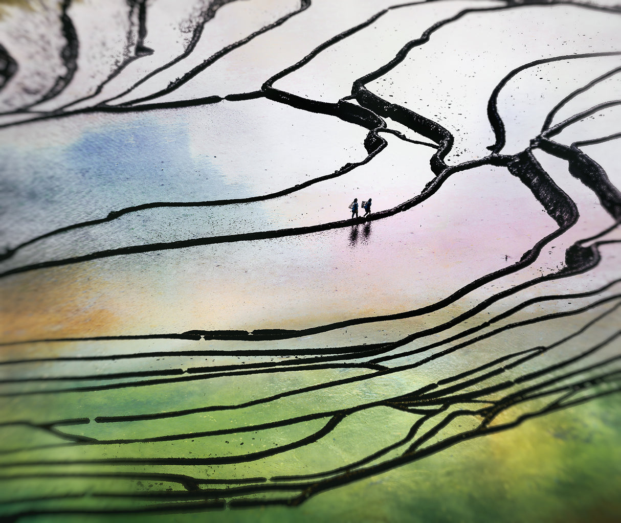 Rhythm of paddy field Poster och Canvastavla