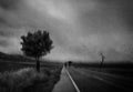 Under a rainy sky Poster och Canvastavla