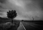 Under a rainy sky Poster och Canvastavla
