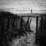 Westbound Poster och Canvastavla