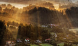 Morning Light Poster och Canvastavla