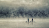 Misty morning Poster och Canvastavla