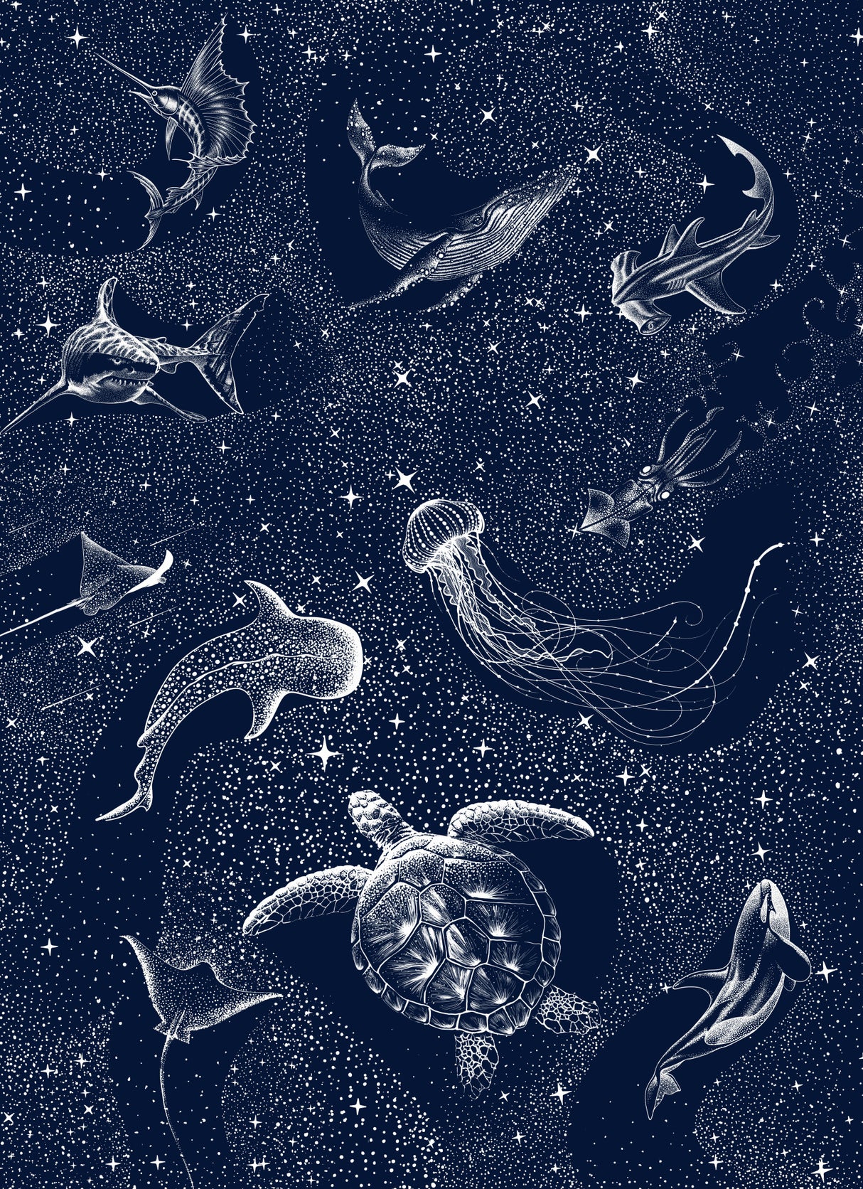 Cosmic Ocean Poster och Canvastavla