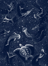 Cosmic Ocean Poster och Canvastavla