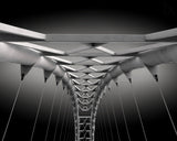 Humber Bridge I Poster och Canvastavla