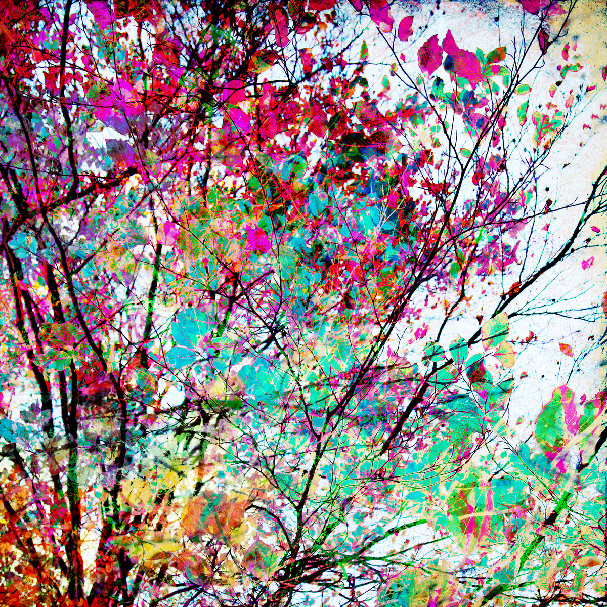 Autumn 8 Poster och Canvastavla