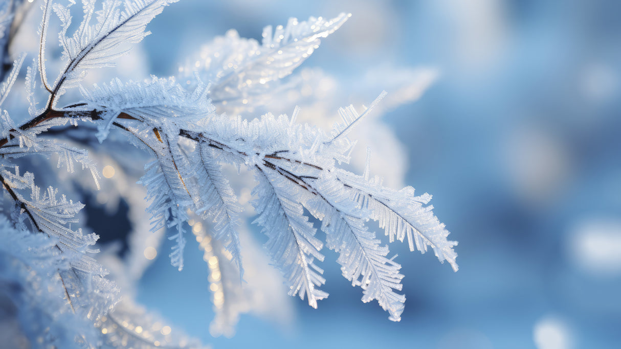 Winter Impressions No 6 Poster och Canvastavla