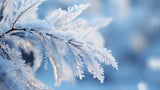 Winter Impressions No 6 Poster och Canvastavla