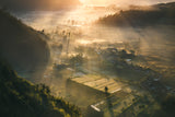 The Valley Poster och Canvastavla