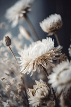 Dry Pastel Flowers No 2 Poster och Canvastavla