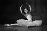 The white swan Poster och Canvastavla