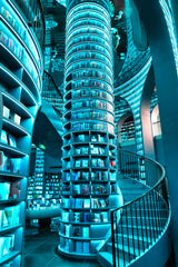 Bookstore (Zhongshu Ge, China) Poster och Canvastavla