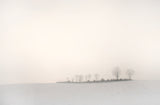 The softness of a winter morning Poster och Canvastavla