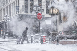 A Snowy Day Poster och Canvastavla