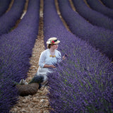 Girl and Lavender Poster och Canvastavla
