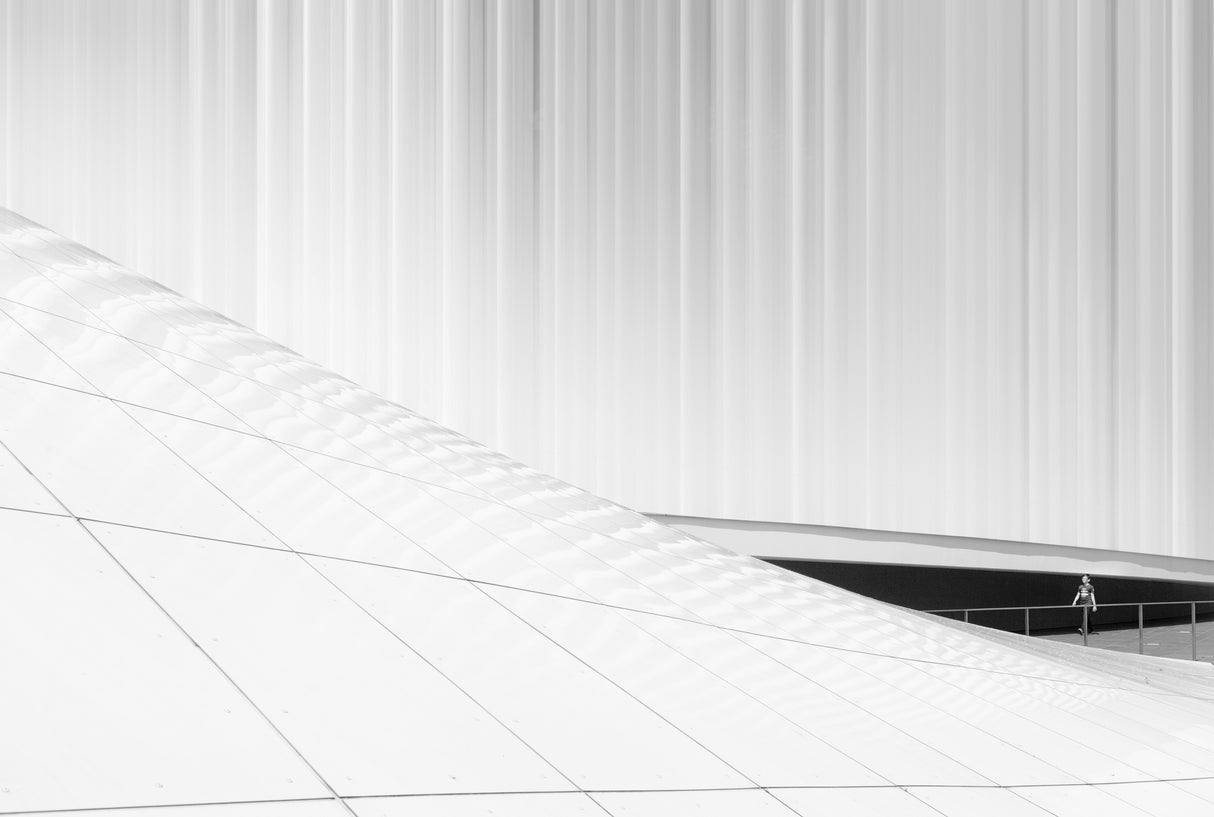 Walk among lines Poster och Canvastavla