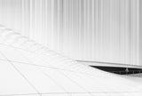 Walk among lines Poster och Canvastavla