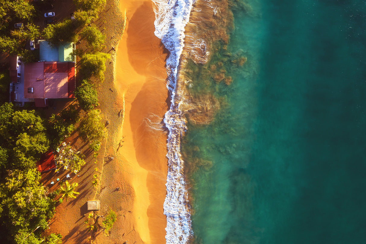 Guadeloupe - Plage de la Perle Aerial Poster och Canvastavla
