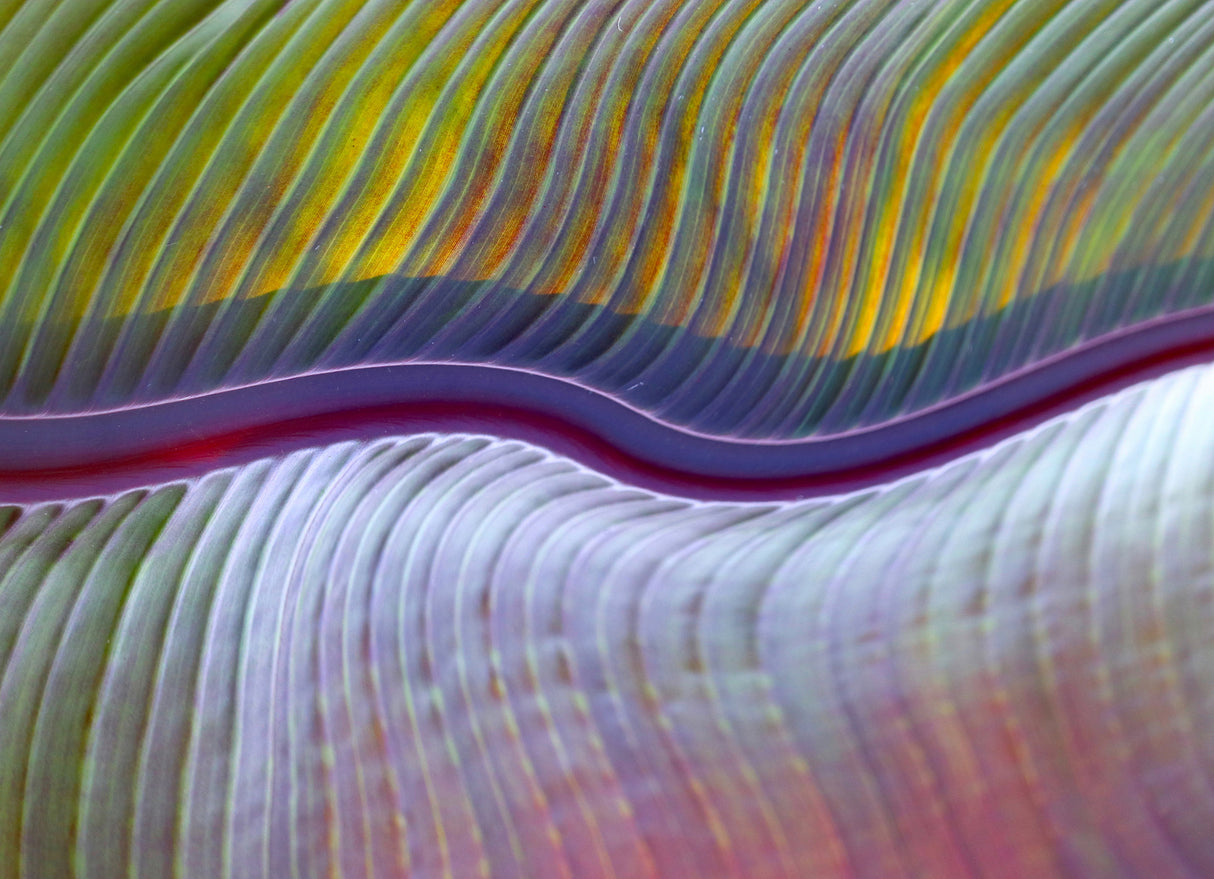 The flood plains, abstractly Poster och Canvastavla