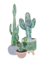 Scandi Japandi Cactus trio Poster och Canvastavla