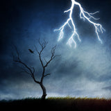 lightning tree Poster och Canvastavla