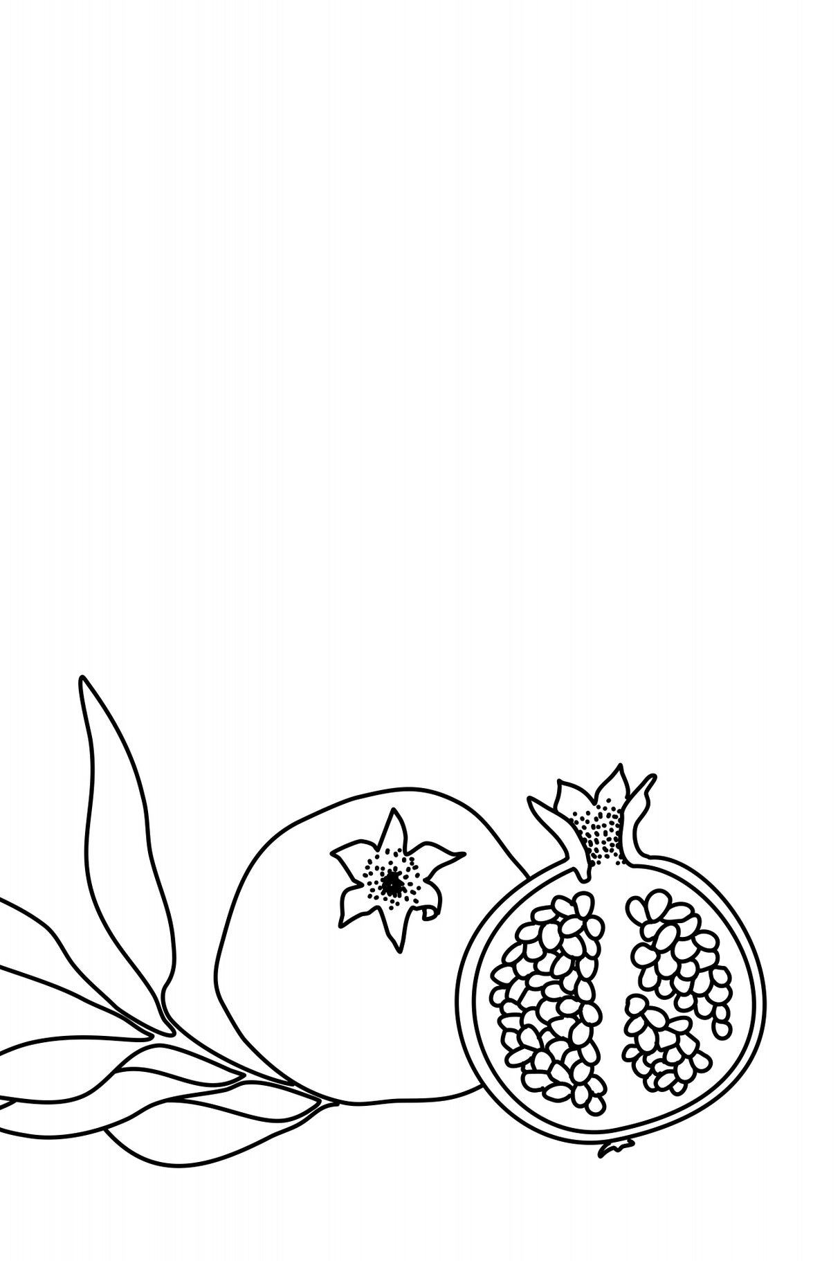 Pomegranate line art Poster och Canvastavla