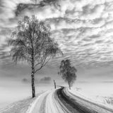 Winding ways Poster och Canvastavla