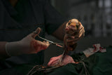 A puppy is born (C section) Poster och Canvastavla