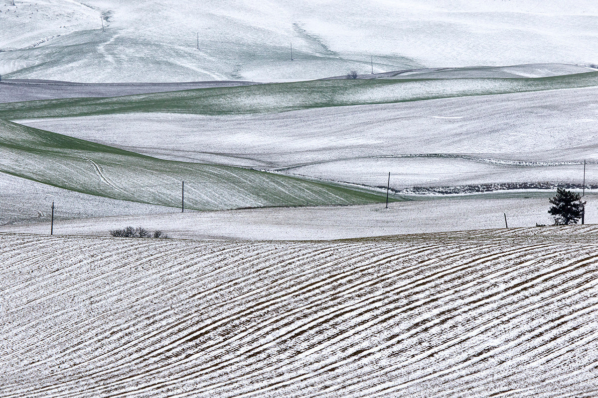 Val D'Orcia in bianco Poster och Canvastavla