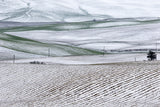 Val D'Orcia in bianco Poster och Canvastavla