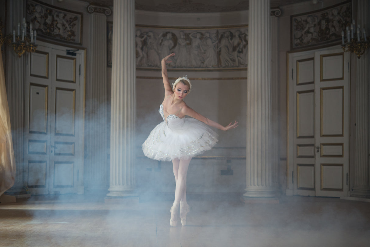 Ballerina Poster och Canvastavla